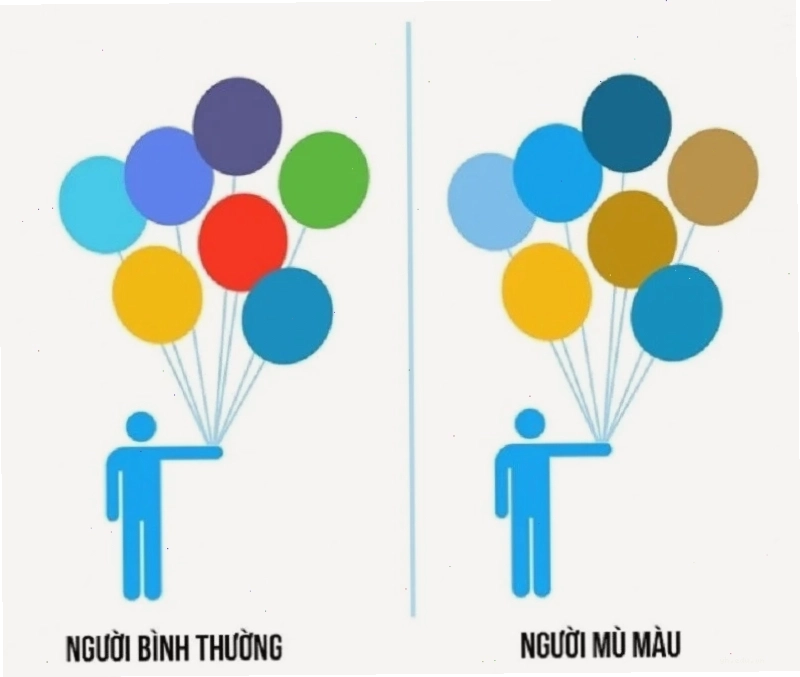 Ảnh hưởng của bệnh mù màu trong cuộc sống