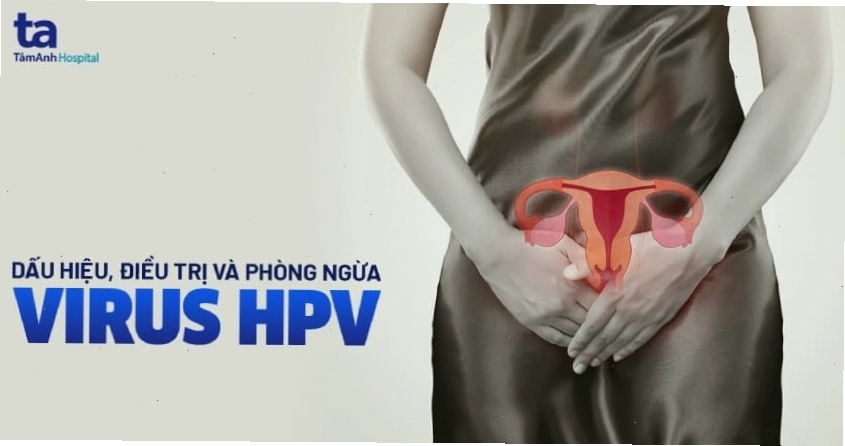 Ảnh infographic về virus HPV