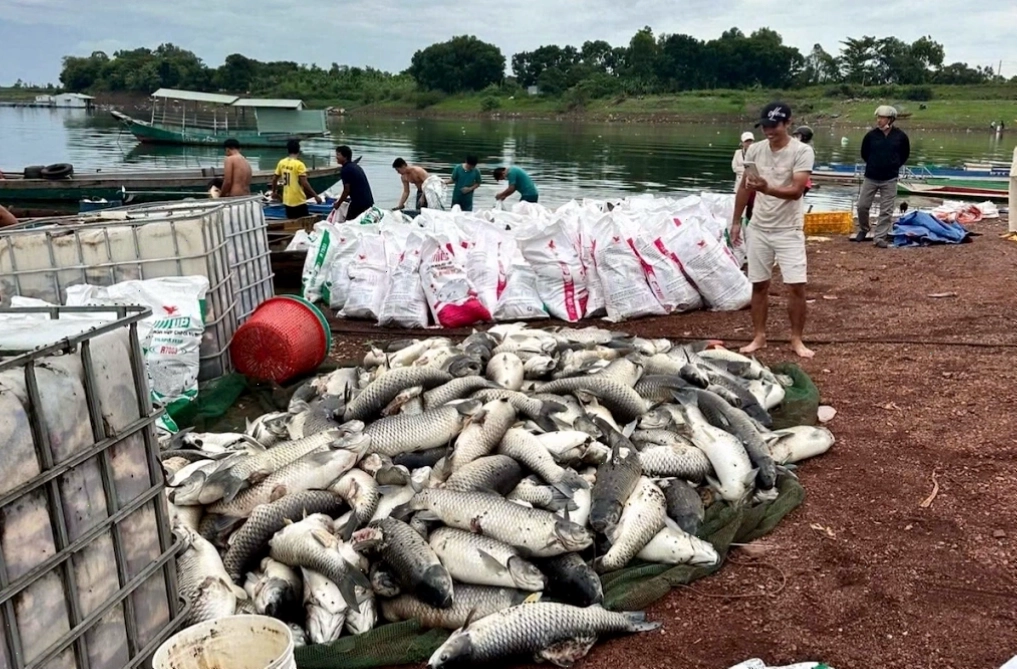 Ảnh minh họa môi trường nước cần được kiểm soát tốt