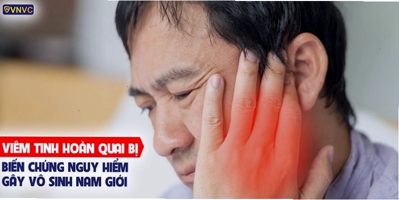Ảnh minh họa quá trình viêm tinh hoàn do virus