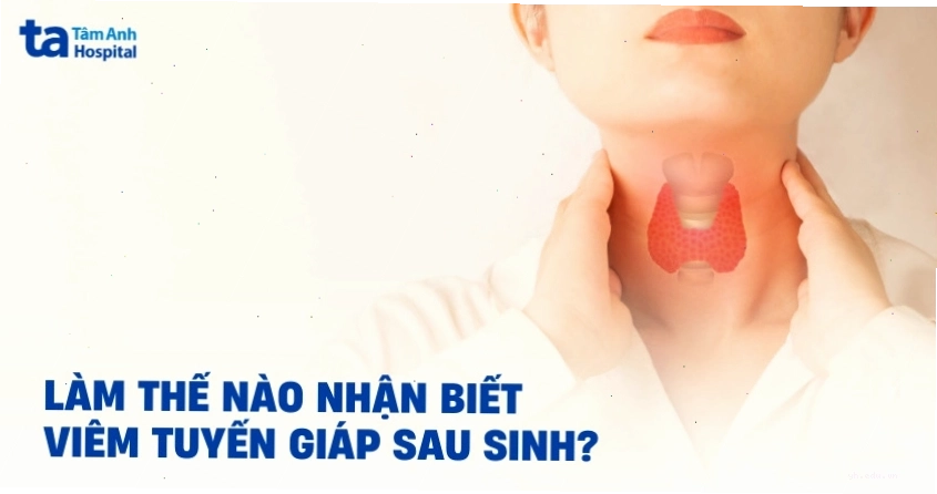 Ảnh minh họa về rối loạn nội tiết ảnh hưởng sức khỏe tổng thể