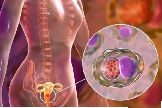 Ảnh minh họa virus HPV 16 và 18 gây ung thư