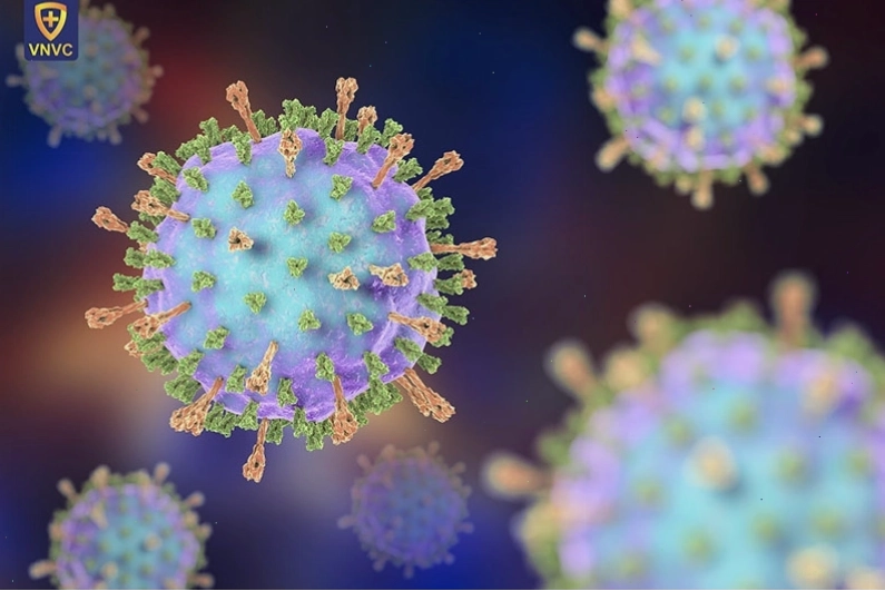 Ảnh minh họa virus Paramyxo xâm nhập cơ thể