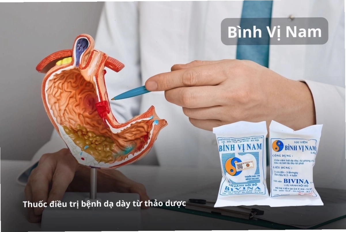 Ảnh mô tả sản phẩm thuốc Bình Vị Nam hỗ trợ dạ dày