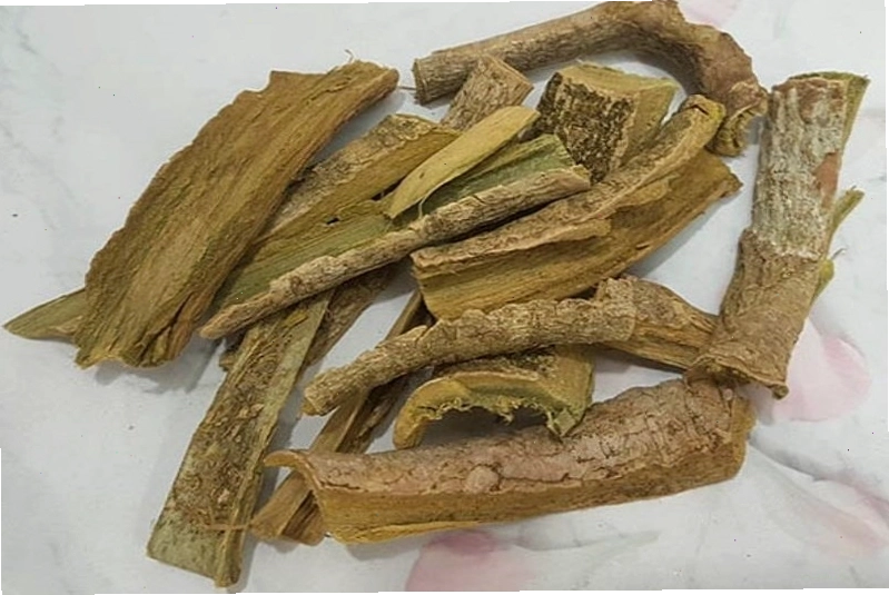 Bác sĩ chuyên môn hướng dẫn sử dụng dược liệu núc nác