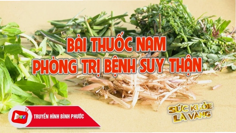 Bài thuốc nam hỗ trợ trị bệnh suy thận