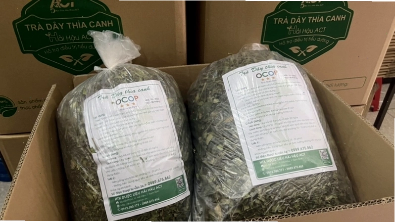Bài thuốc từ dây thìa canh