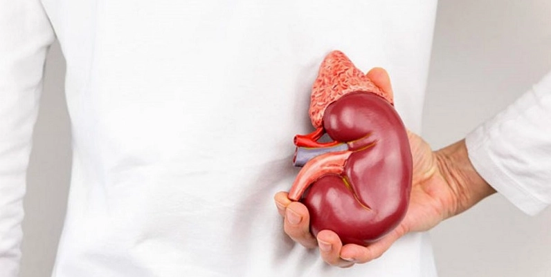 Bệnh addison là gì và những kiến thức y khoa quan trọng cần biết