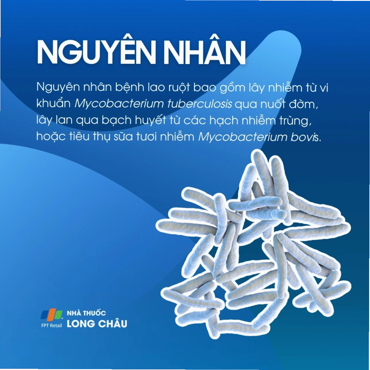 Bệnh lao ruột 3