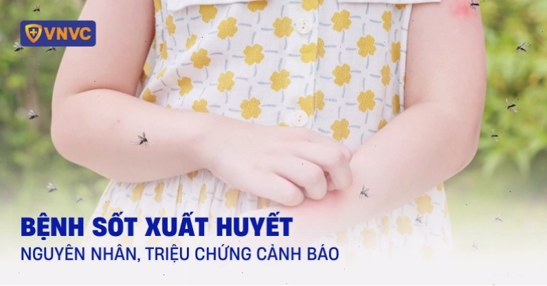 Bệnh nhân bị sốt xuất huyết cần được chăm sóc y tế kịp thời