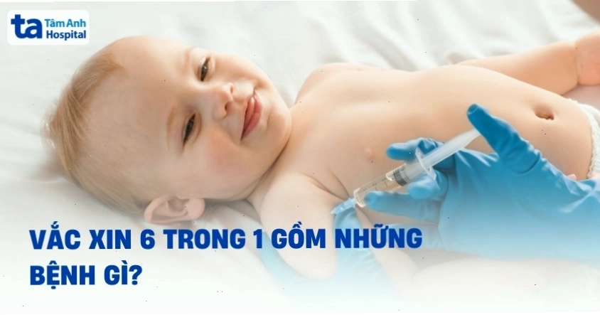 Biểu đồ minh họa 6 bệnh truyền nhiễm mà vắc xin 6 trong 1 giúp phòng ngừa cho trẻ