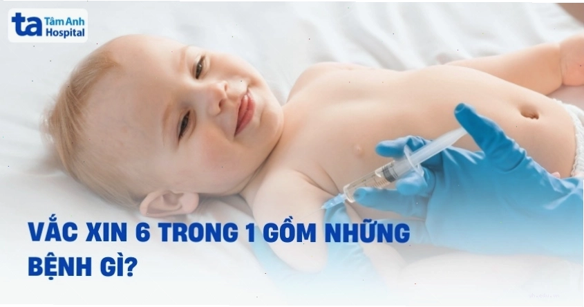 Biểu đồ minh họa các loại bệnh mà vắc xin 6 trong 1 có thể phòng ngừa