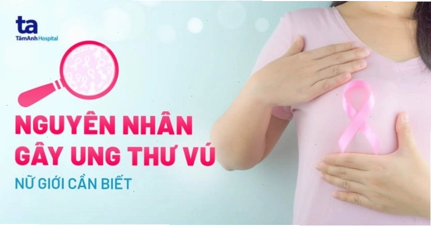 Biểu đồ minh họa các nguyên nhân gây ra ung thư vú