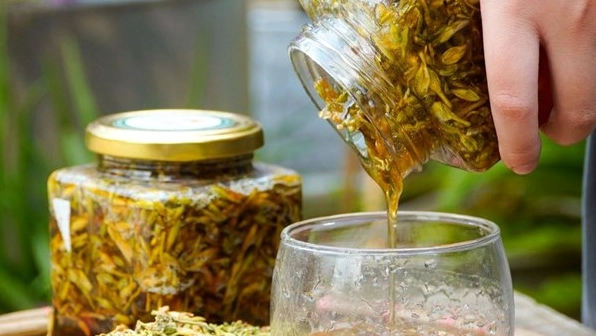 Bông đu đủ đực ngâm mật ong chữa bệnh gì và những lưu ý cần biết