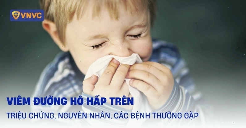 Các bộ phận thuộc đường hô hấp trên