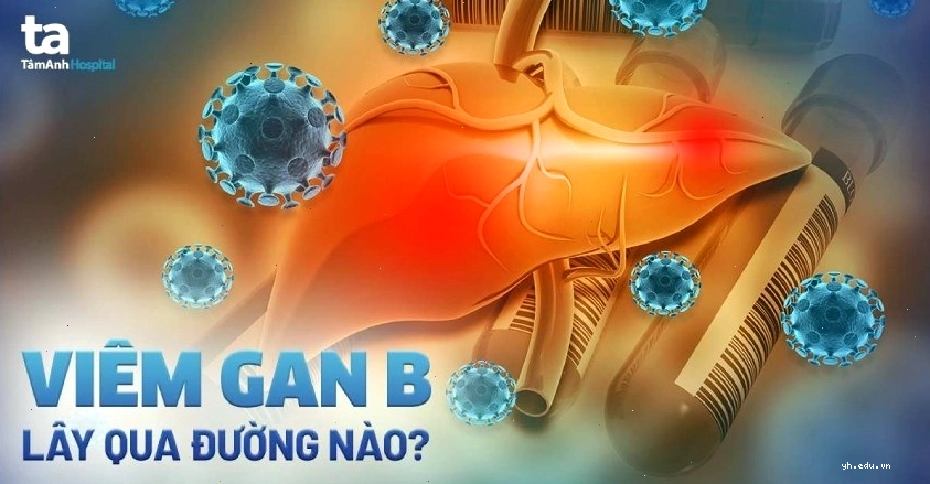 Các con đường lây truyền của virus viêm gan B