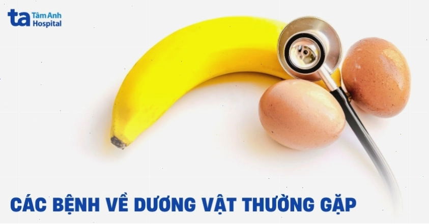Các loại bệnh lý về dương vật thường gặp ở nam giới