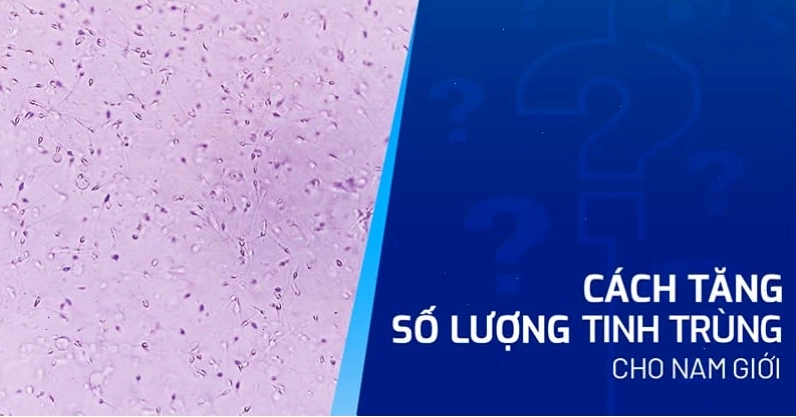 Các loại thực phẩm giúp tăng số lượng và chất lượng tinh trùng