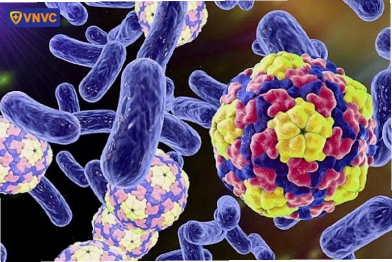 Các loại vi khuẩn và virus gây bệnh