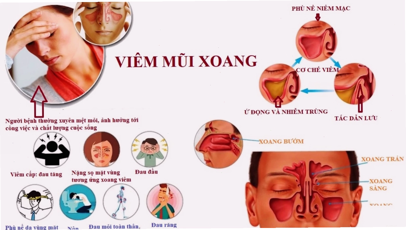 Các thói quen xấu cần loại bỏ để cải thiện sức khỏe hệ hô hấp