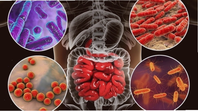 Cách lựa chọn thực phẩm sạch để ngăn ngừa vi khuẩn tả