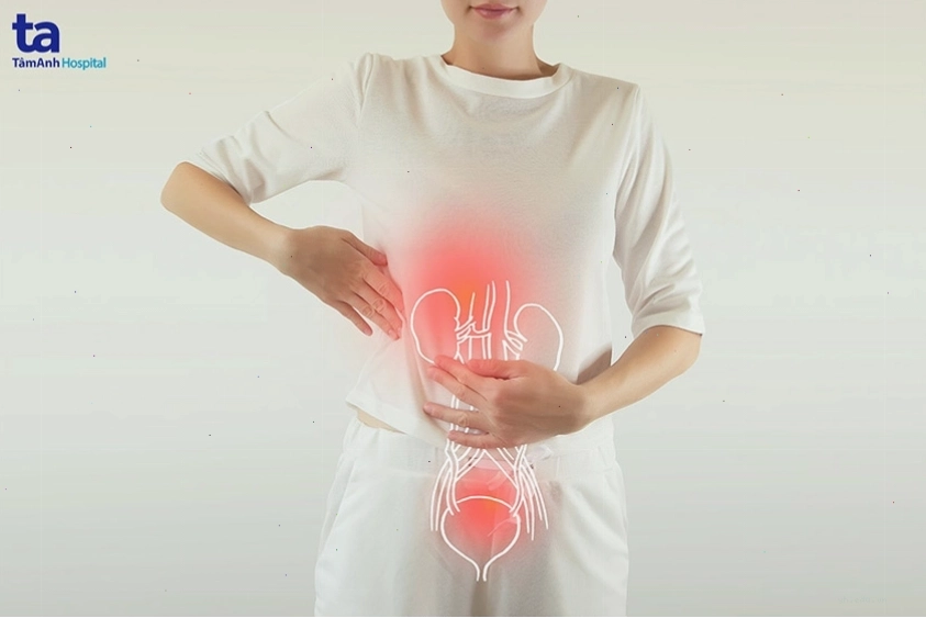 Cách phòng ngừa nhiễm trùng đường tiết niệu