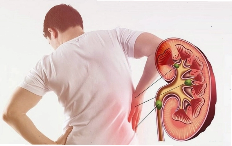 Cảnh báo về thảo dược