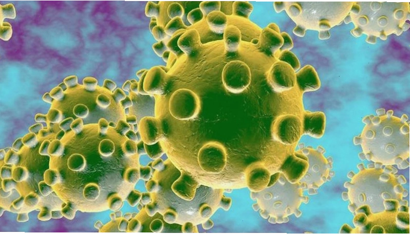Cấu trúc của họ virus Corona
