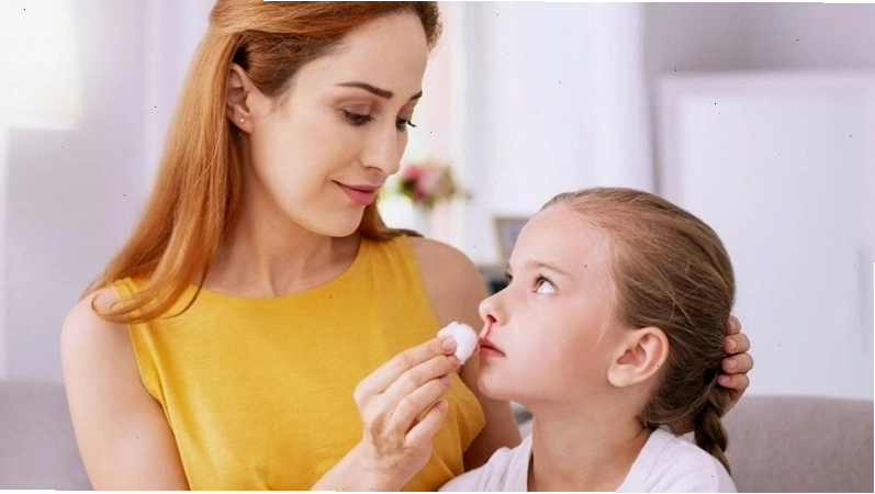 Cấu trúc mô hình tế bào máu dưới kính hiển vi điện tử