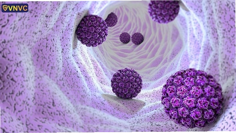 Cấu trúc mô phỏng của virus HPV