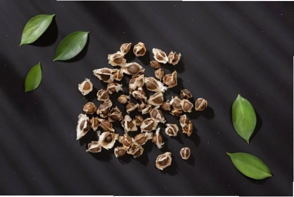 Chế độ ăn với chùm ngây