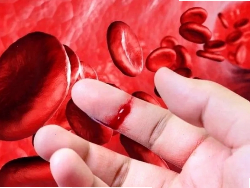 Cơ chế khó đông máu trong cơ thể