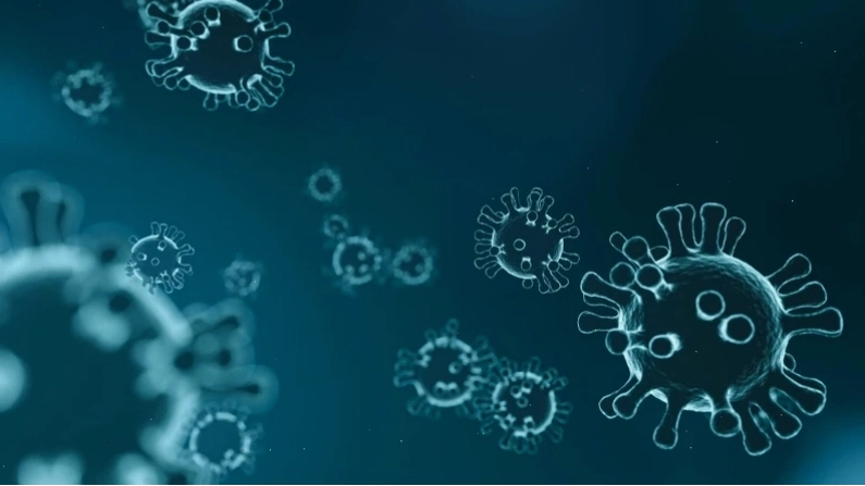 Cơ chế lây truyền virus viêm gan B