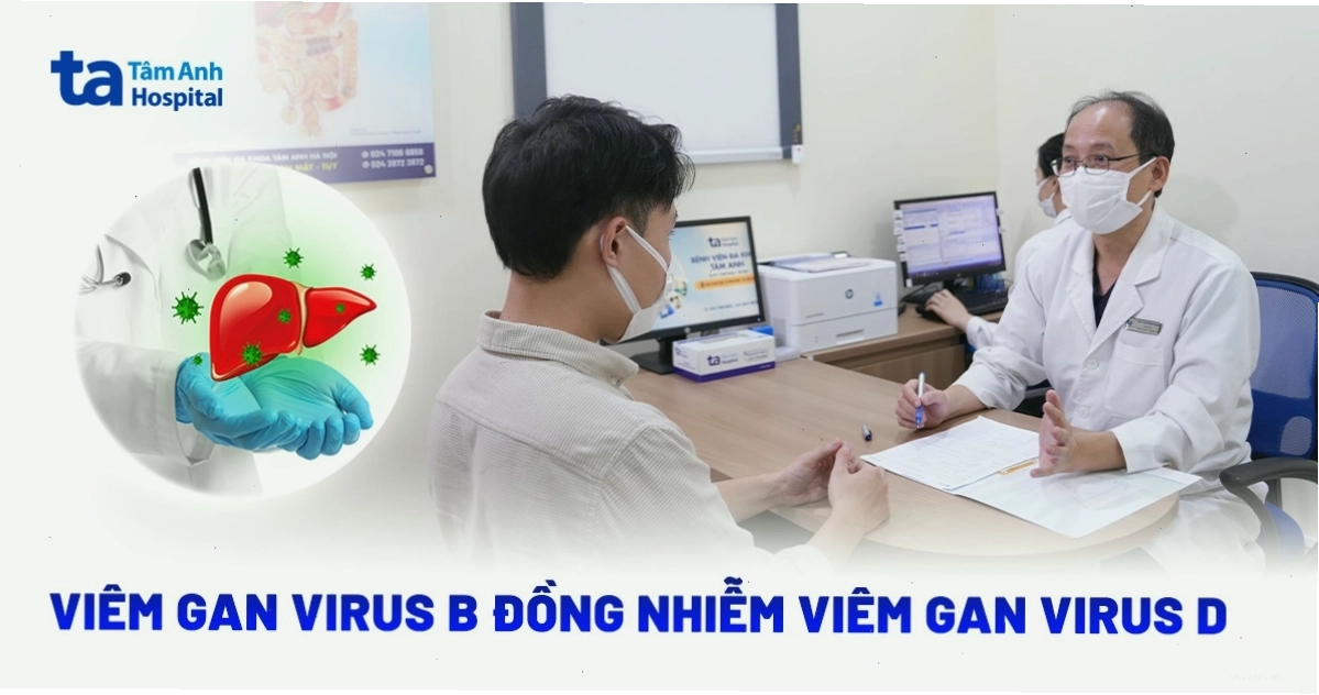 Cơ chế viêm gan virus B đồng nhiễm viêm gan virus D