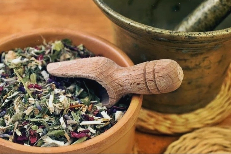 Công dụng của cây nhàu trong Y Học Cổ Truyền