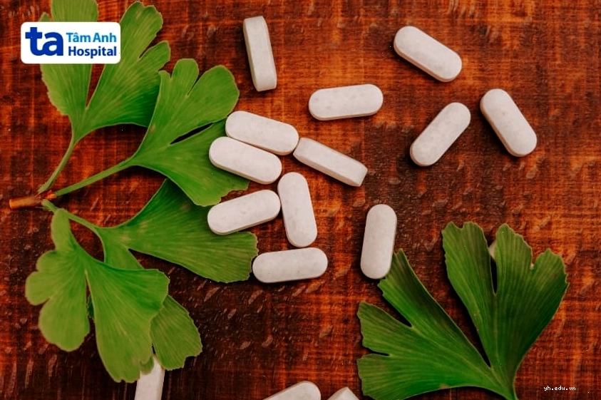 Công dụng của Ginkgo Biloba trong đời sống