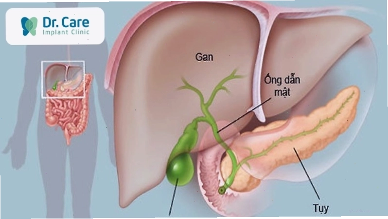 Đắng miệng là bệnh gì