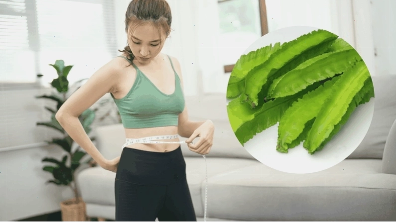 Đậu rồng được chế biến thành món ăn