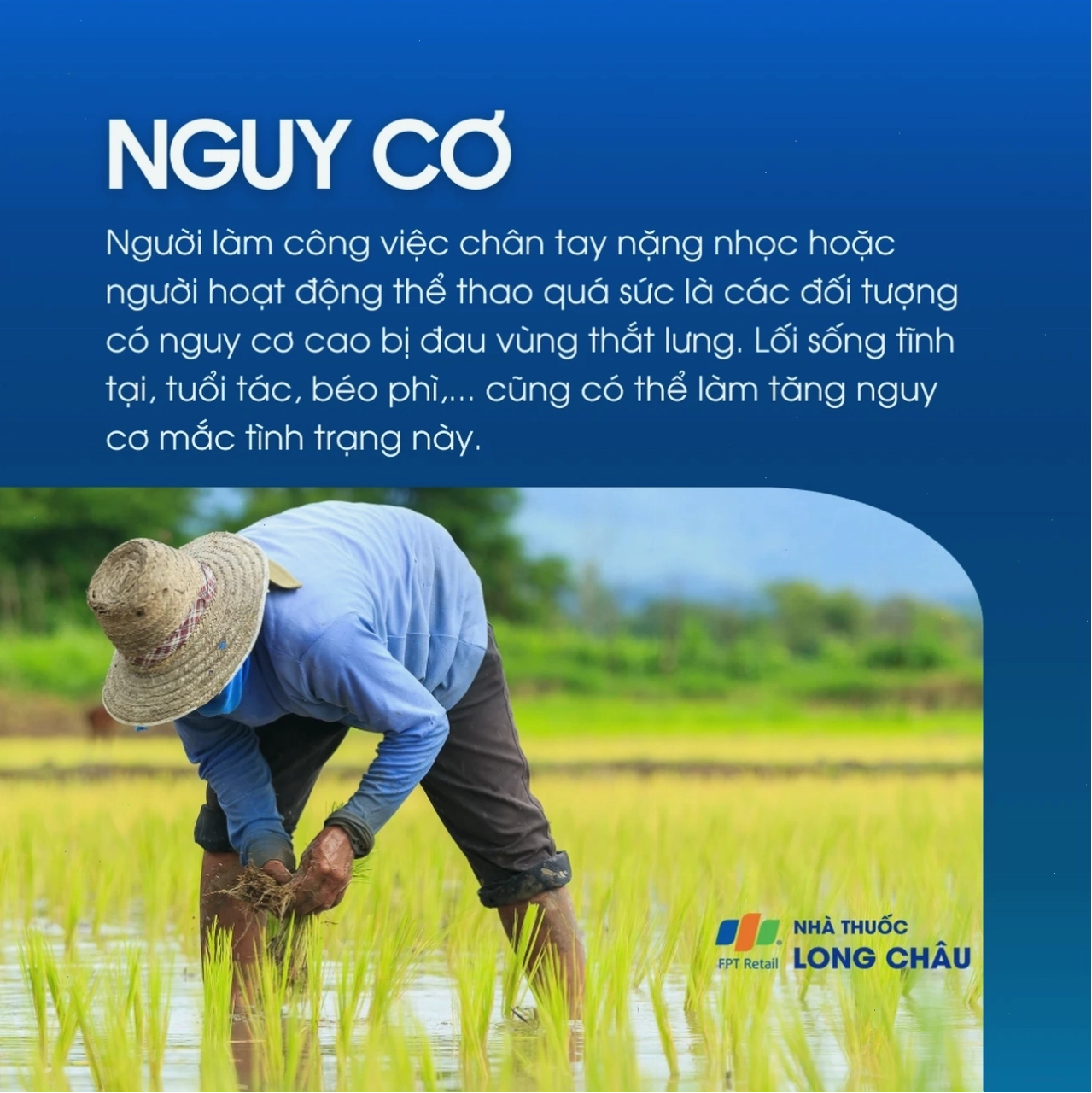 Đau vùng thắt lưng 4