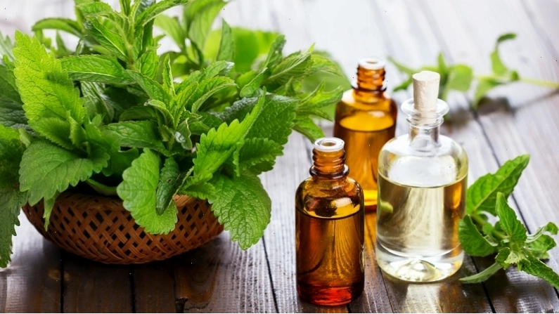 Dinh dưỡng và chăm sóc sức khỏe
