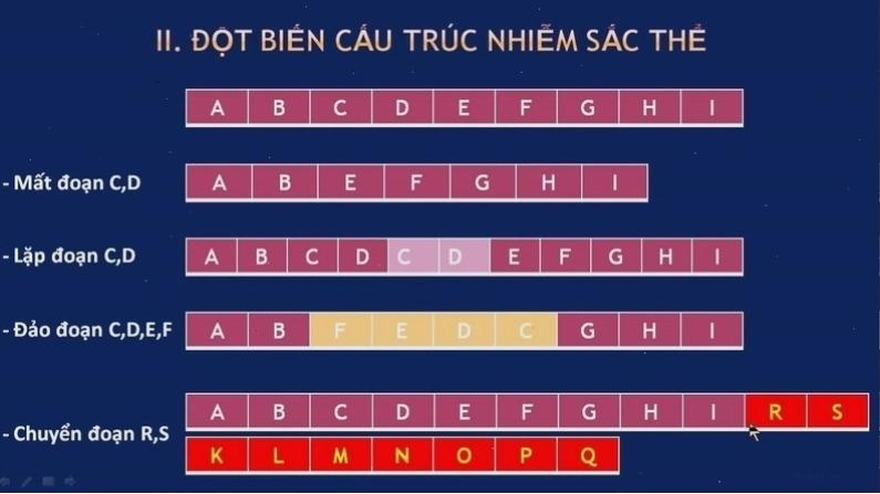 Đột biến cấu trúc nhiễm sắc thể