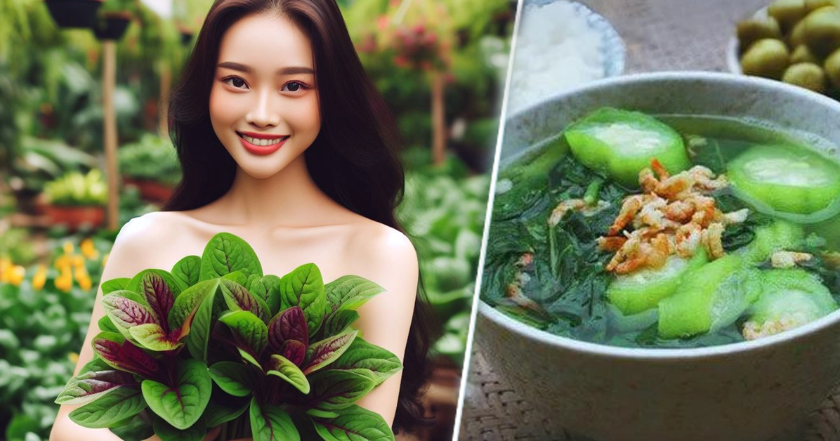Giải đáp dây mồng tơi tím trị bệnh gì và các lợi ích sức khỏe bất ngờ