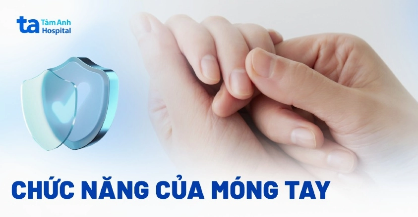 Giải đáp móng tay mọc nhanh là bệnh gì và những lưu ý cần biết