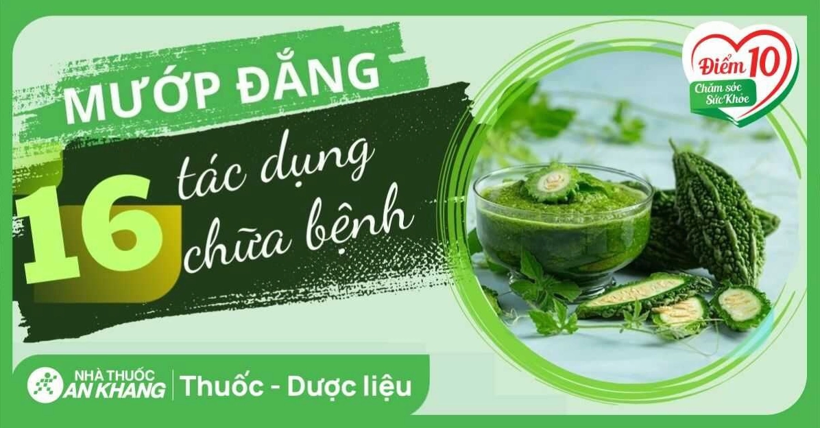 Giải đáp mướp đắng trị bệnh gì và những công dụng tuyệt vời cho sức khỏe