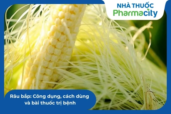 Giải đáp râu bắp nấu nước uống trị bệnh gì hiệu quả trong y học cổ truyền
