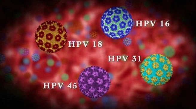 Giải đáp thắc mắc human papillomavirus gây bệnh gì và cách phòng ngừa