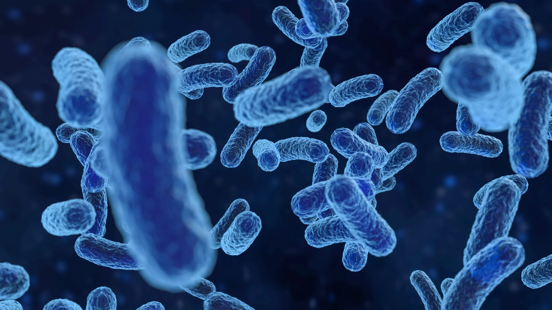 Giải đáp thắc mắc listeria monocytogenes gây bệnh gì cho sức khỏe
