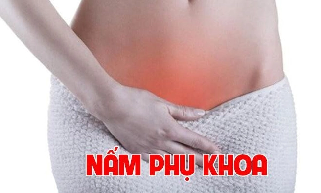 Giải đáp thắc mắc nấm candida albicans gây bệnh gì cho sức khỏe