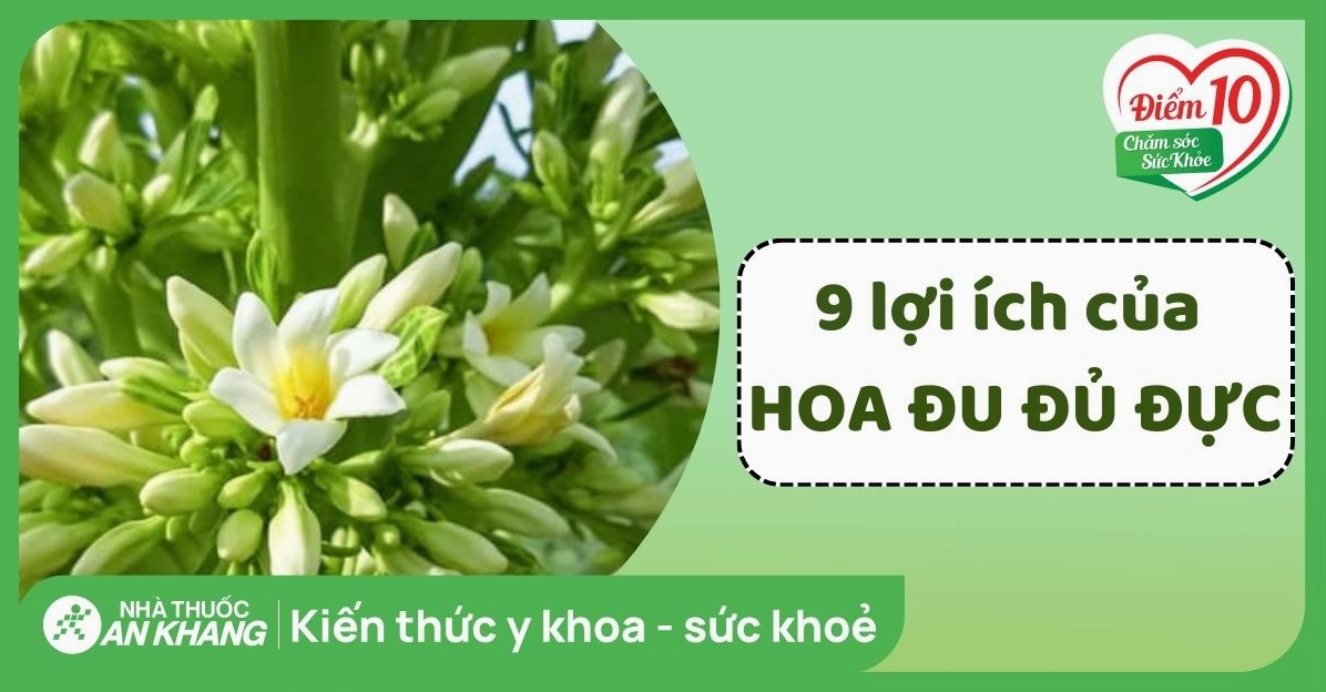 Giải đáp thắc mắc quả đu đủ đực chữa bệnh gì theo góc nhìn y khoa