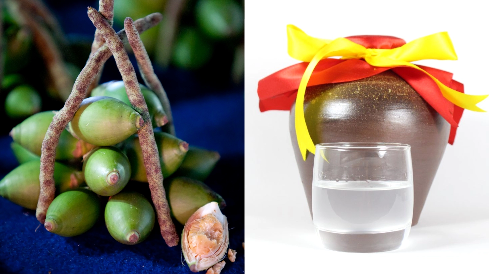 Giải đáp thắc mắc rượu ngâm hạt cau chữa bệnh gì theo y học cổ truyền